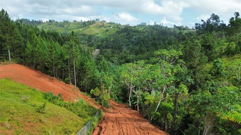 Bo. Maná CARR. 802 KM 2.5 COROZAL  00783