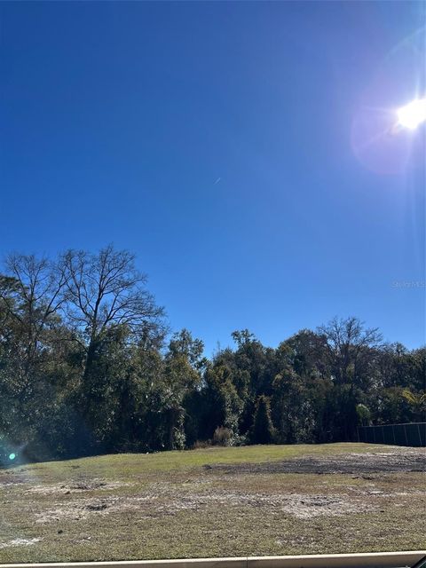 Photo of 751 W Pennsylvania Avenue, Lake Helen, FL 32744 (MLS # V4946915)