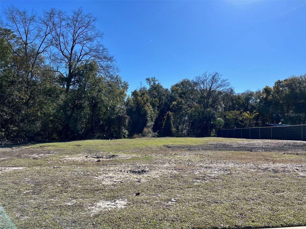 Photo of 751 W Pennsylvania Avenue, Lake Helen, FL 32744 (MLS # V4946915)