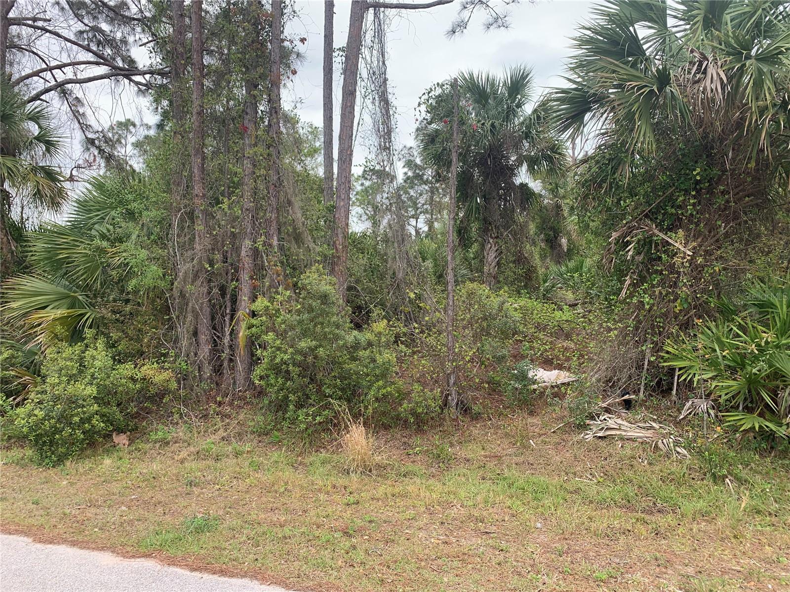 WoW! Beautiful Area to Build Your Dream Home IN! Located in the Heart of North Port very close to shopping and access to 75. Quiet and Peaceful in this area with country setting! Not far at all from Golf Courses and Beautiful Beaches!
What are you waiting for? Get your own Personal Paradise Started Today!