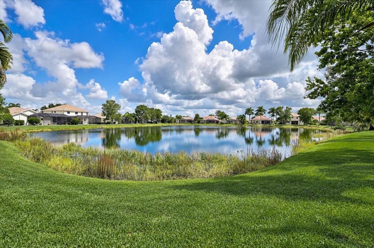 11871 GRANITE WOODS LOOP