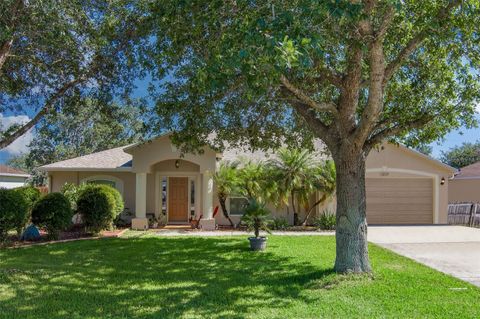 A home in DELTONA