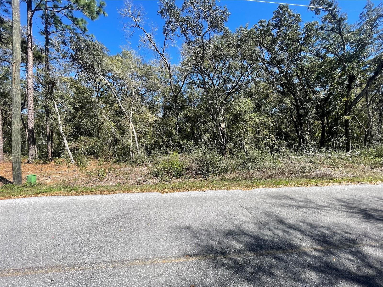 Hurricane season blowout! Awesome .28 acre residential lot. High and dry with no flood zone. Electricity services in front of the subject on the street. Build your dream home today or invest in your future. New homes are on the street and more are on the way! in the Woods & Lakes Subdivision in Ocklawaha, Marion County. This is the heart of North Central Florida. Enjoy Ocala, the great outdoor activities, and nearby water sports. Minutes from Lake Weir and the National Forest, a jump from the Ocklawaha River and only a short drive to downtown Ocala. An outdoor paradise awaits. Yet, shopping, dining, and excellent healthcare facilities are all nearby. Ocala, Gainesville, and Orlando are all an easy commute. Own it today for a quick cash price of $14,900. As the subject is a vacant lot, it does not yet have an assigned address. The address used in this listing is for mapping purposes only. Use the address of the house across the street of 5910 SE 170th Ct, Ocklawaha FL 32179 to navigate to the vicinity of the subject property. Or use 29.127996, -81.870393 in your GPS or Goog maps to navigate directly to the subject. Use the attached aerials and maps for reference. From the corner of SE 180th Avenue Rd and SE 95th Street Rd, head north on SE 180th Avenue Rd for 3.4 miles. Turn left (west) on SE 61st Place for .1 mile. Turn right (north) on SE 171 Ct for .1 mile. Turn left (west) on SE 59th Pl and then right on SE 170th Ct. The subject will be on your right, approximately 260 feet down from the intersection with SE 59th Pl.
