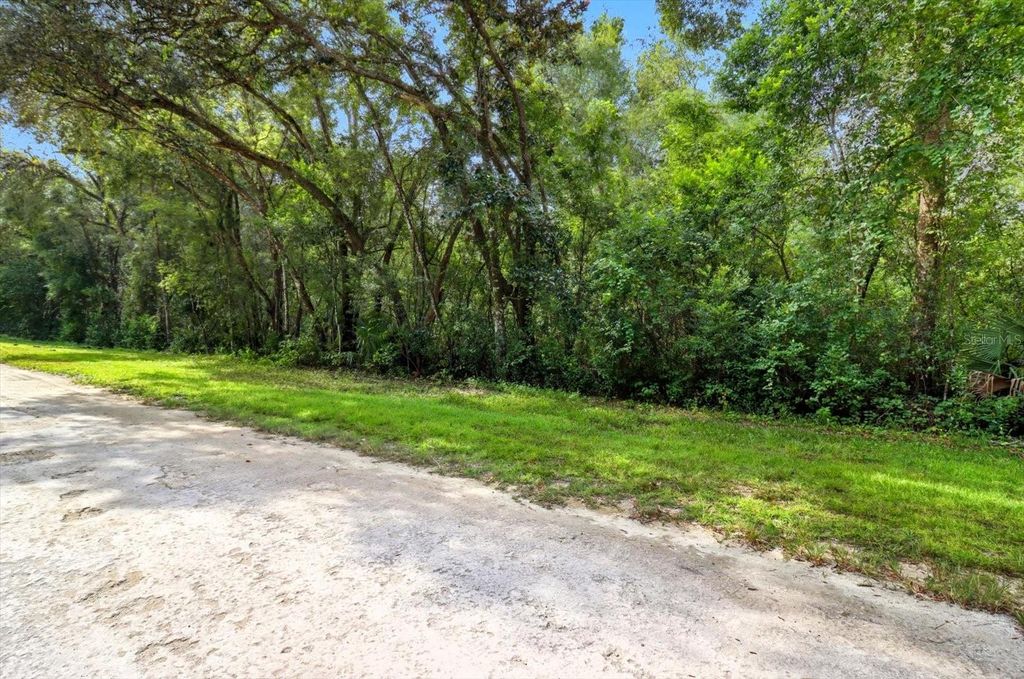 Photo of 0 Monroe Avenue, Brooksville, FL 34604 (MLS # O6345519)