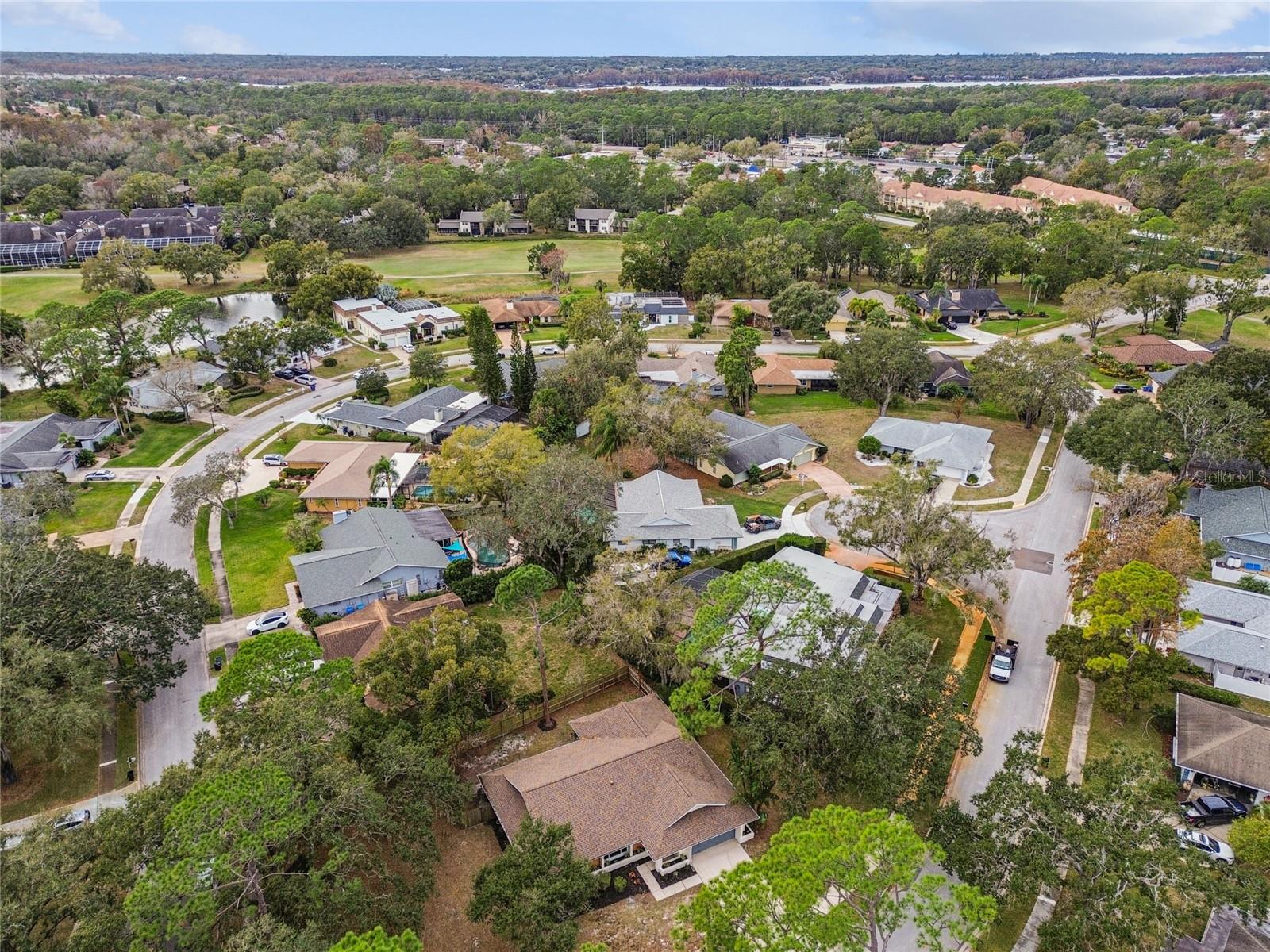 TARPON WOODS - Residential