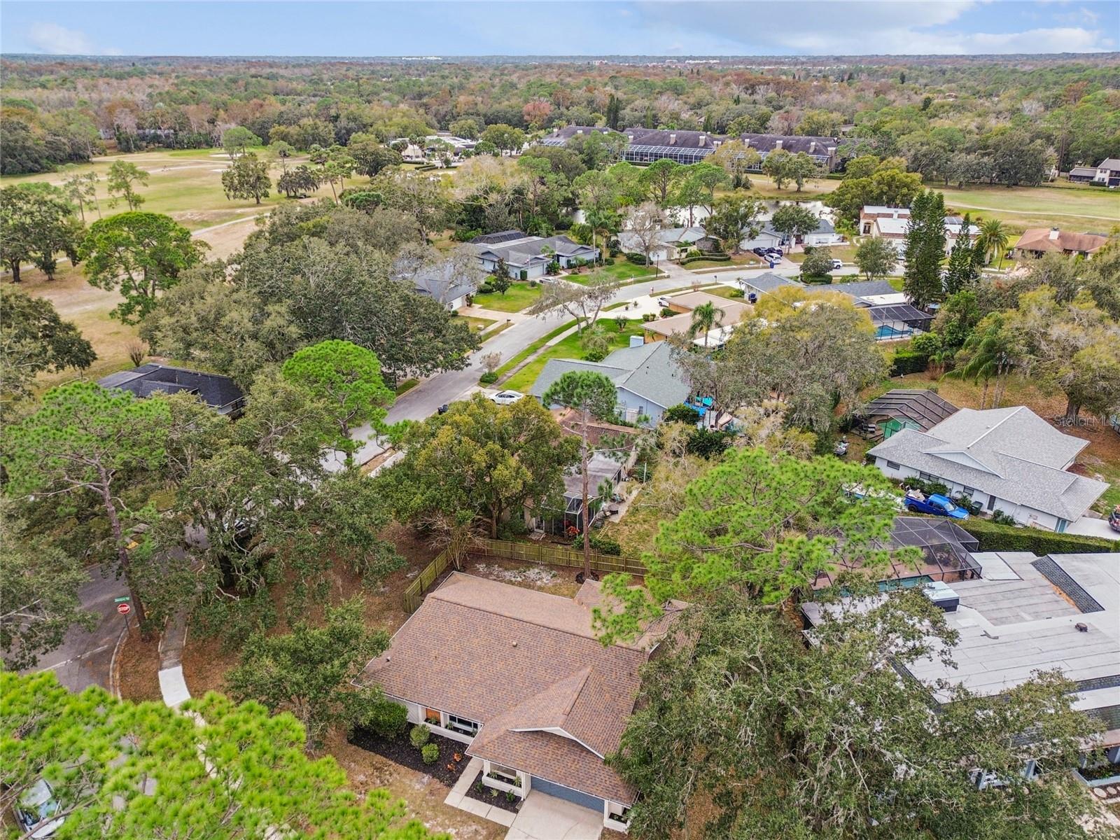 TARPON WOODS - Residential