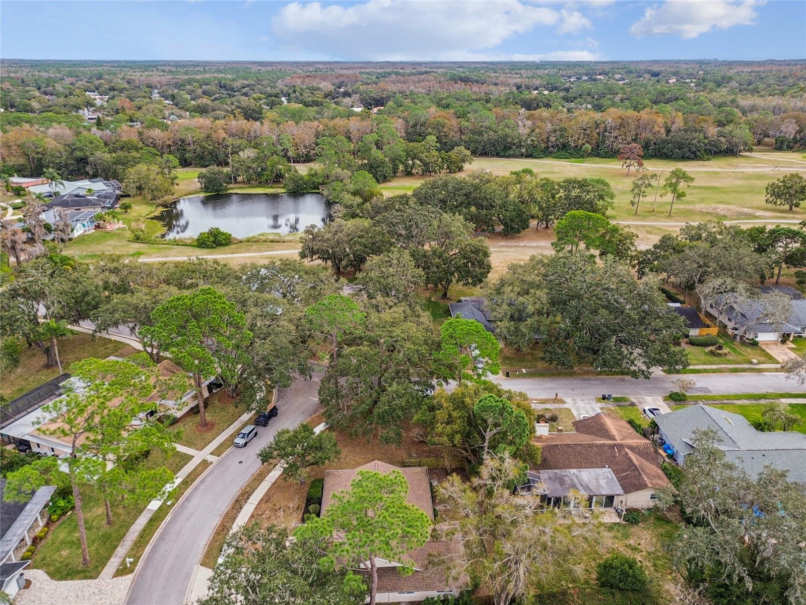 TARPON WOODS - Residential