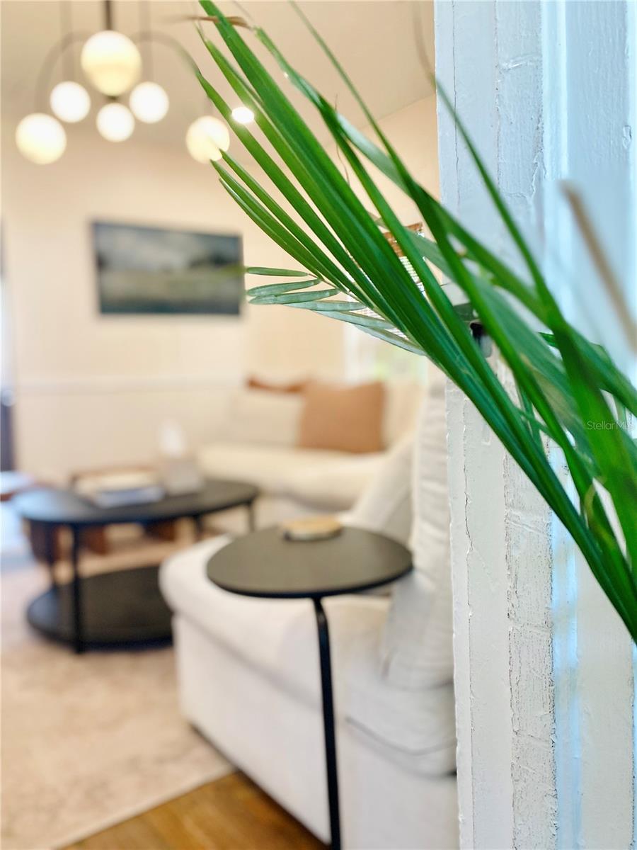 FLORIDA SHORES 01 - Residential Lease