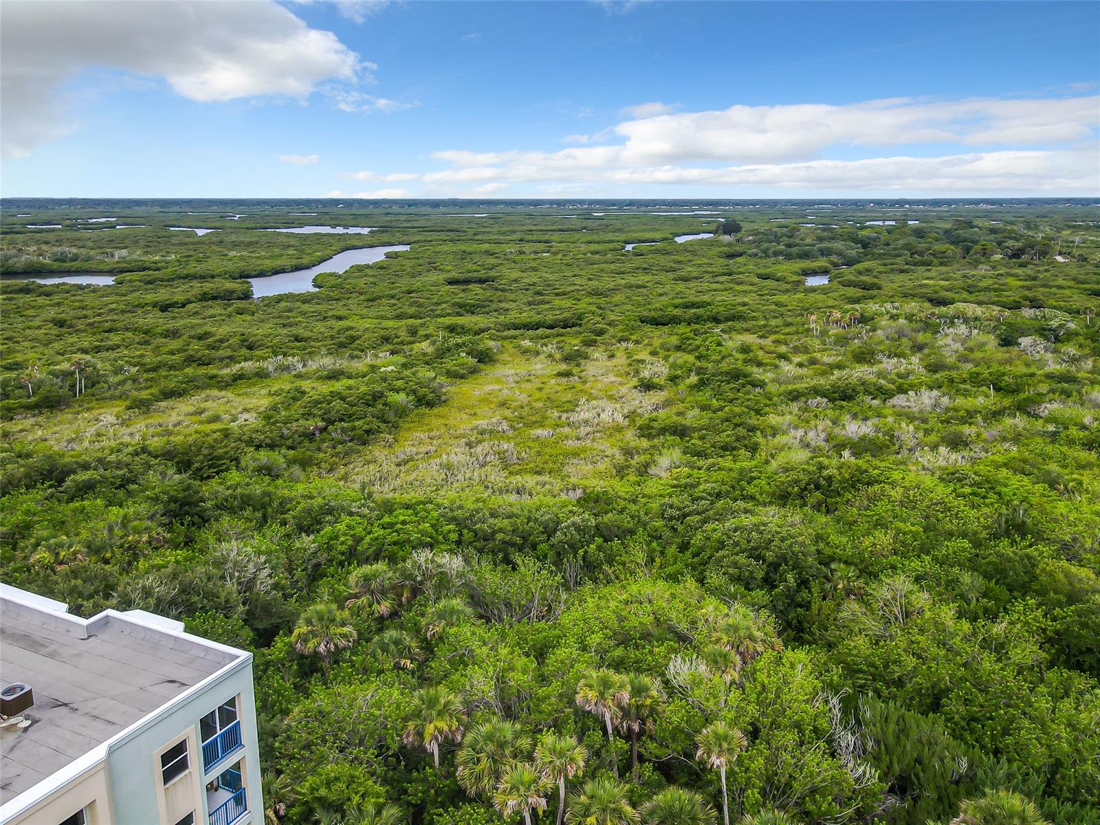 Ocean Walk Condo At Nsb - Residential