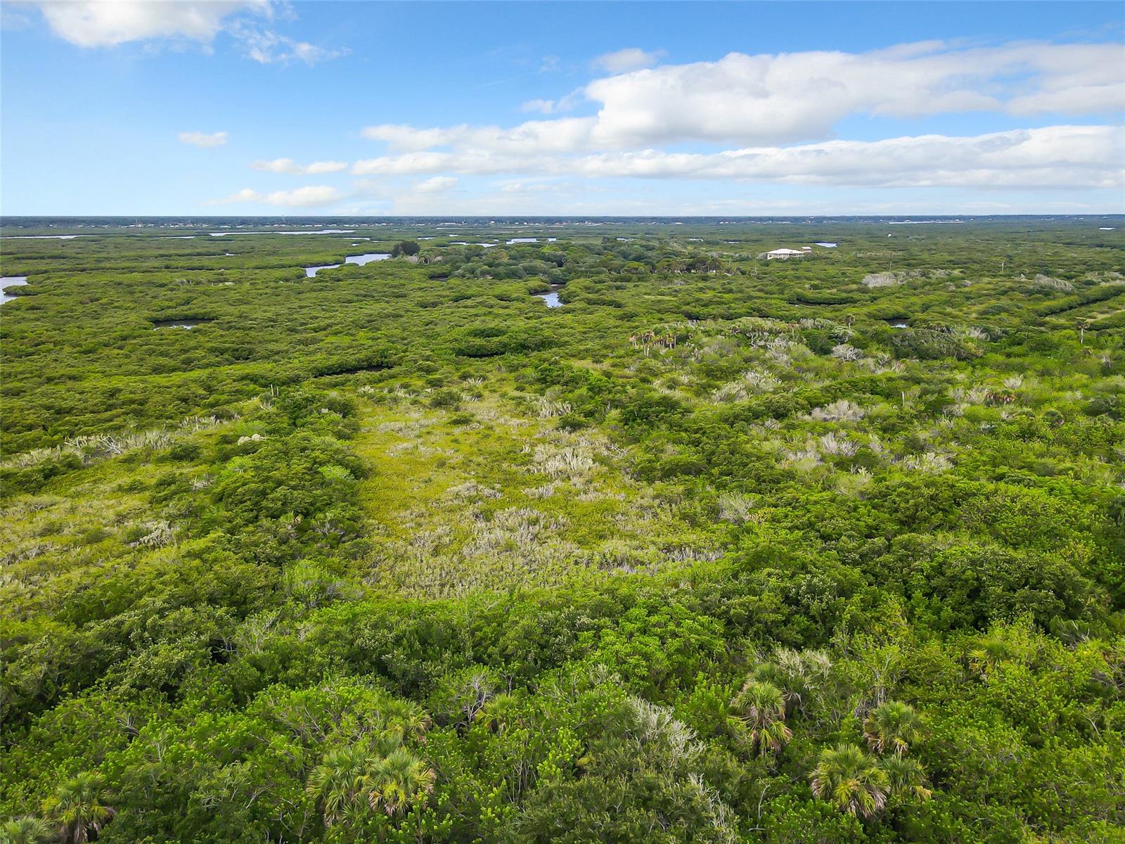 Ocean Walk Condo At Nsb - Residential