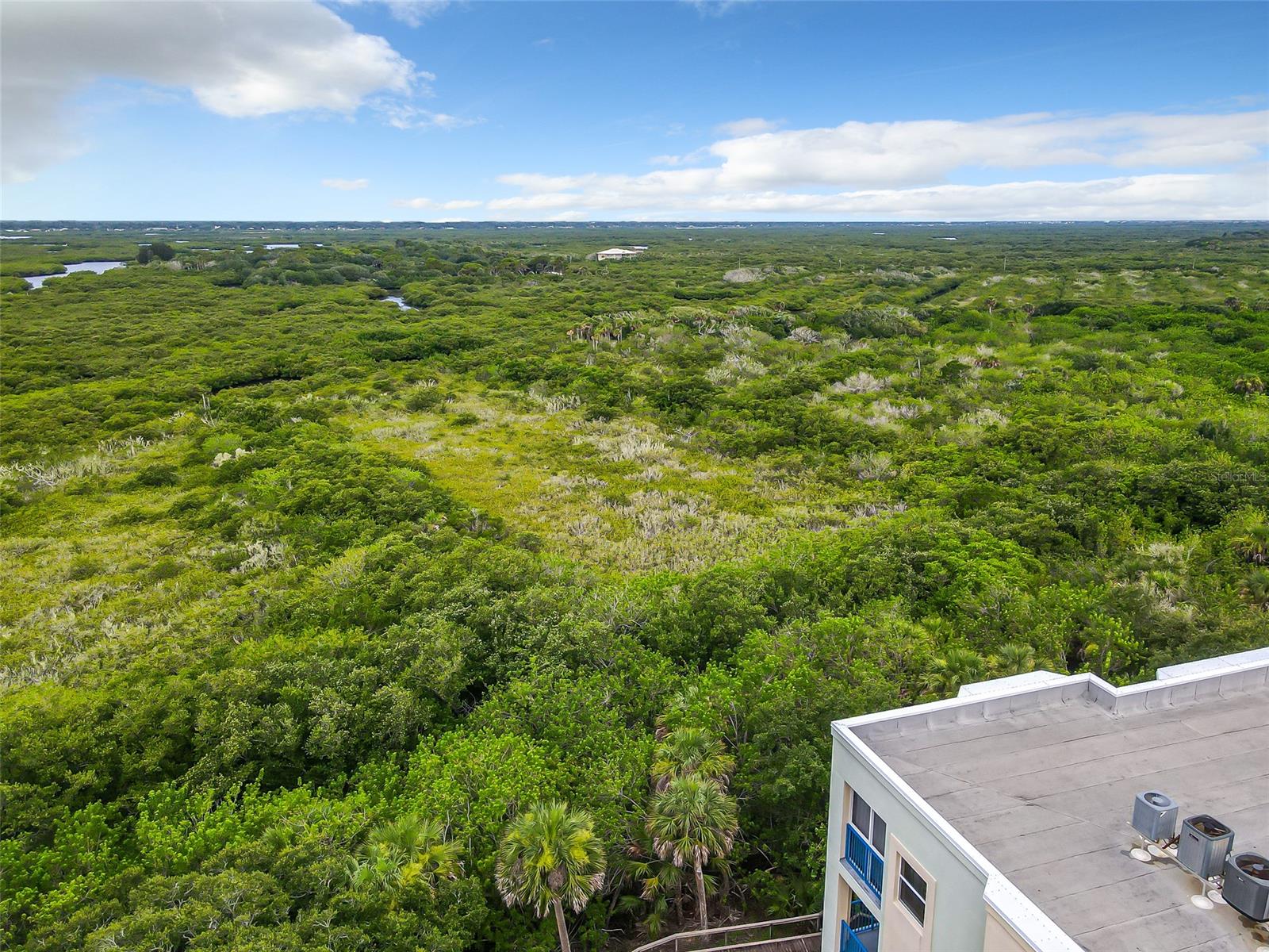 Ocean Walk Condo At Nsb - Residential
