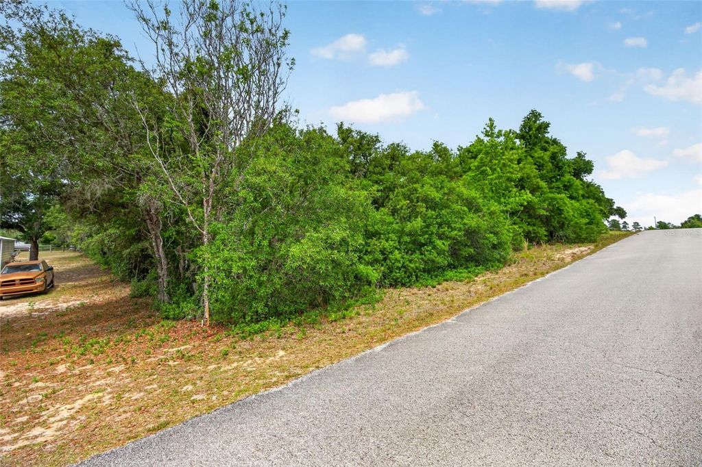 Photo of 1642 S Valerie Point, Inverness, FL 34452 (MLS # OM723333)