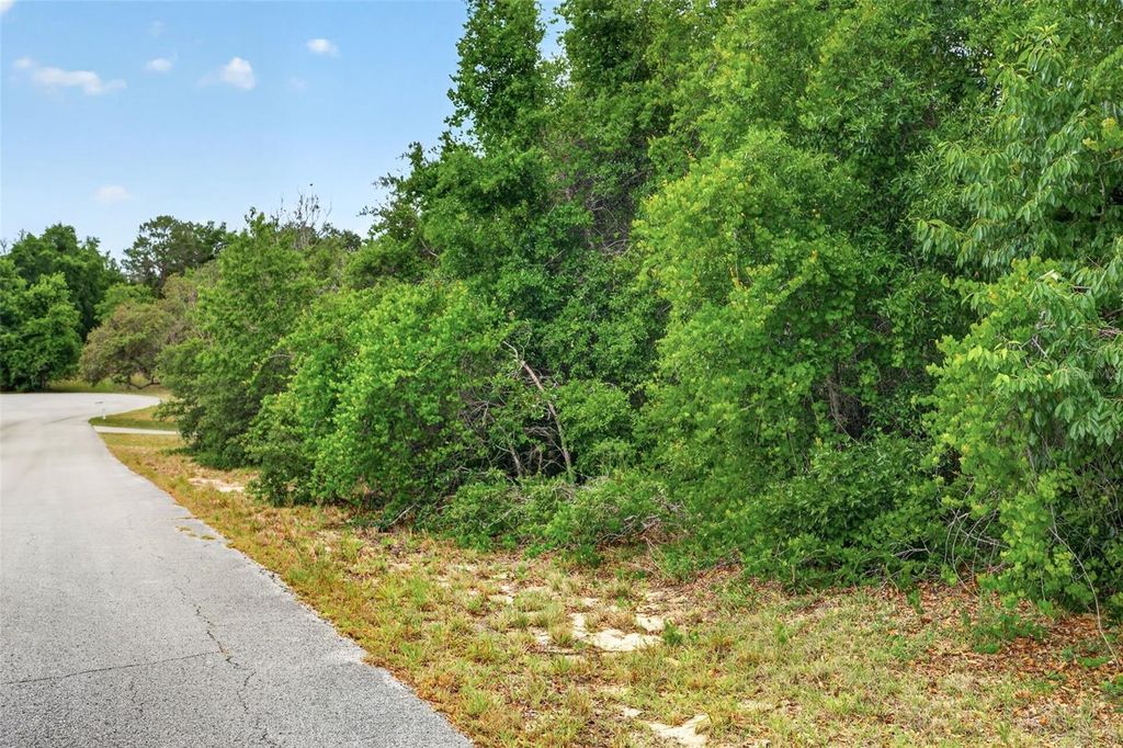 Photo of 1642 S Valerie Point, Inverness, FL 34452 (MLS # OM723333)