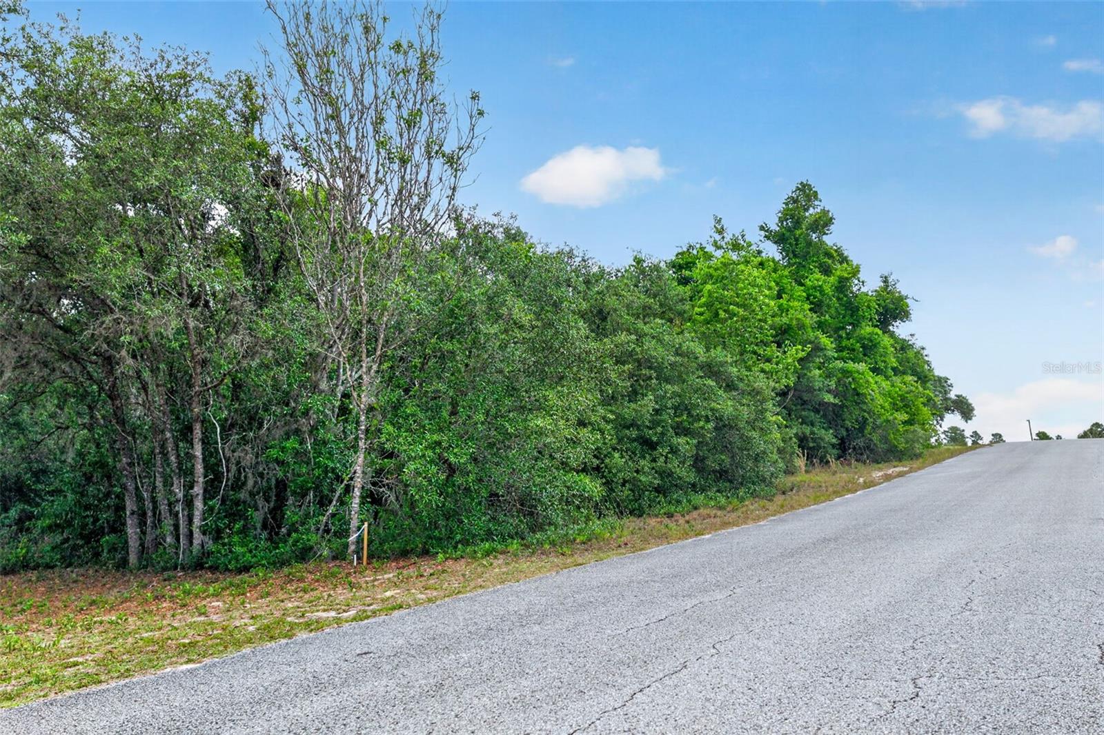 1642 S VALERIE POINT