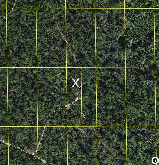 Investment Opportunity in Lake Wales, FL! This .32 lot is a fantastic long-term investment in a tranquil area. While currently without direct access, this parcel offers excellent potential for future development or appreciation as Lake Wales grows. Perfect for savvy investors looking to secure a foothold in a promising location. Don’t miss this chance to own a piece of land with future possibilities!