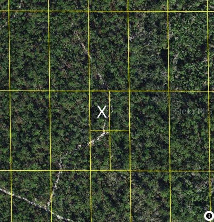 Investment Opportunity in Lake Wales, FL! This .32 lot is a fantastic long-term investment in a tranquil area. While currently without direct access, this parcel offers excellent potential for future development or appreciation as Lake Wales grows. Perfect for savvy investors looking to secure a foothold in a promising location. Don’t miss this chance to own a piece of land with future possibilities!