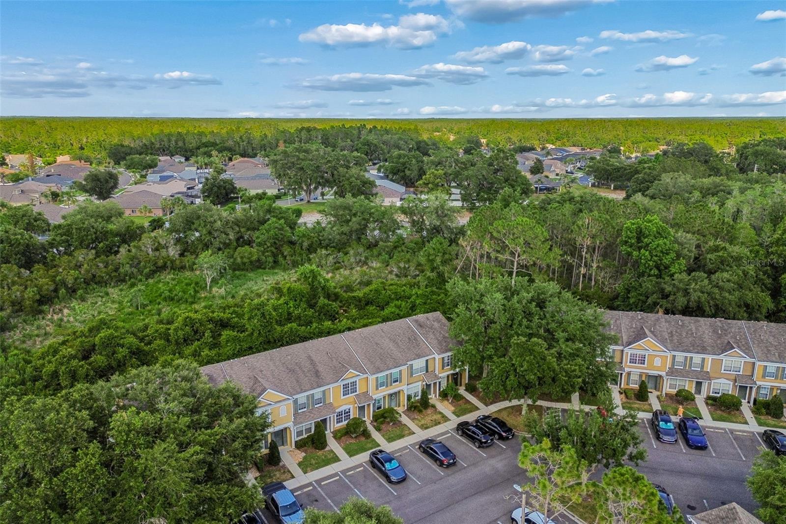 MEADOW POINTE PRCL 16 UNIT 02A - Residential