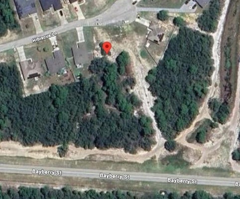246 HIBISCUS LN, KISSIMMEE, FL 34759 - Image 5b96448c1d8baef9efed5ca1eeaf2e6b/1322305233