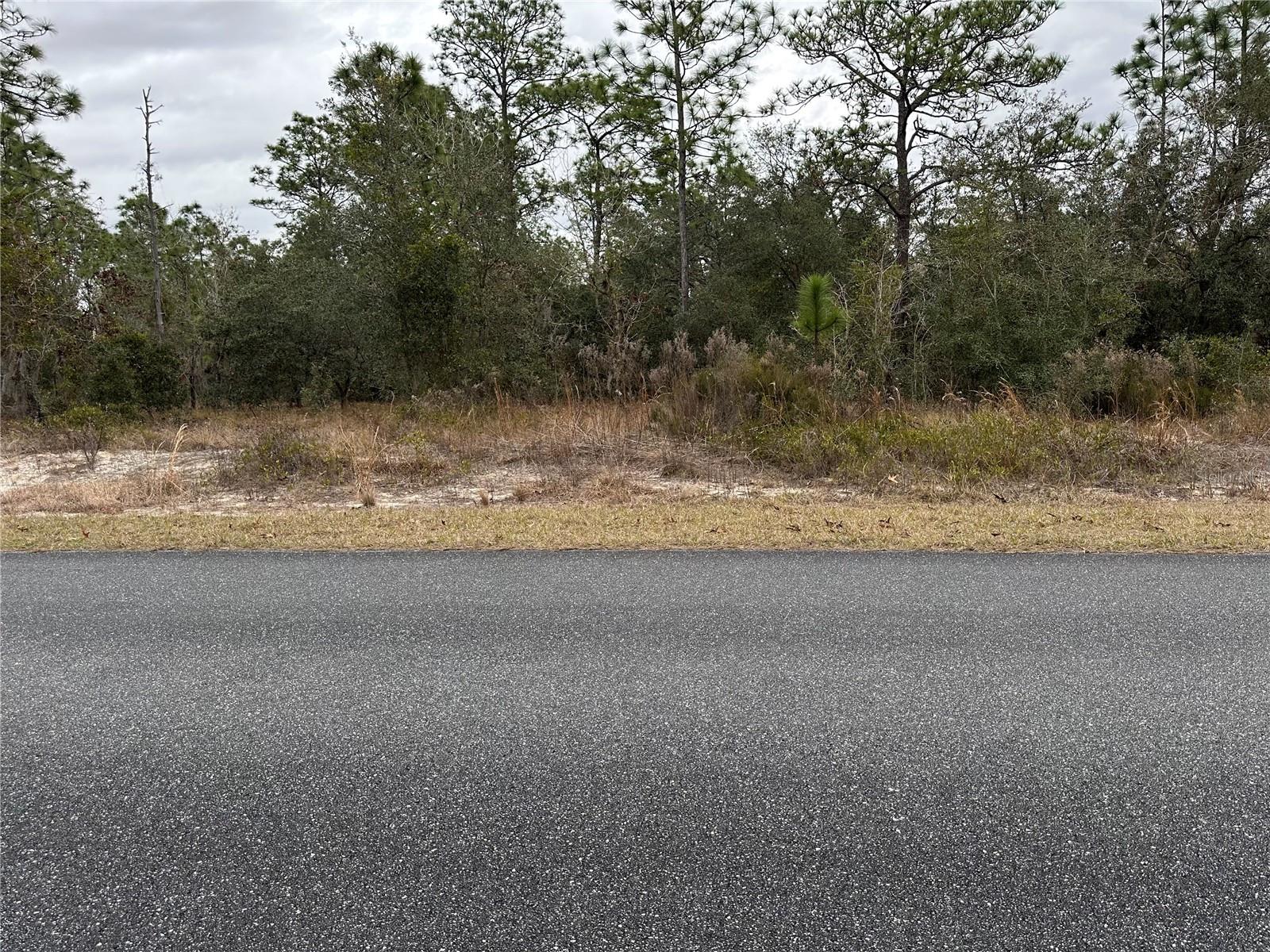 SW OBEE RIDGE RD - Photo 3