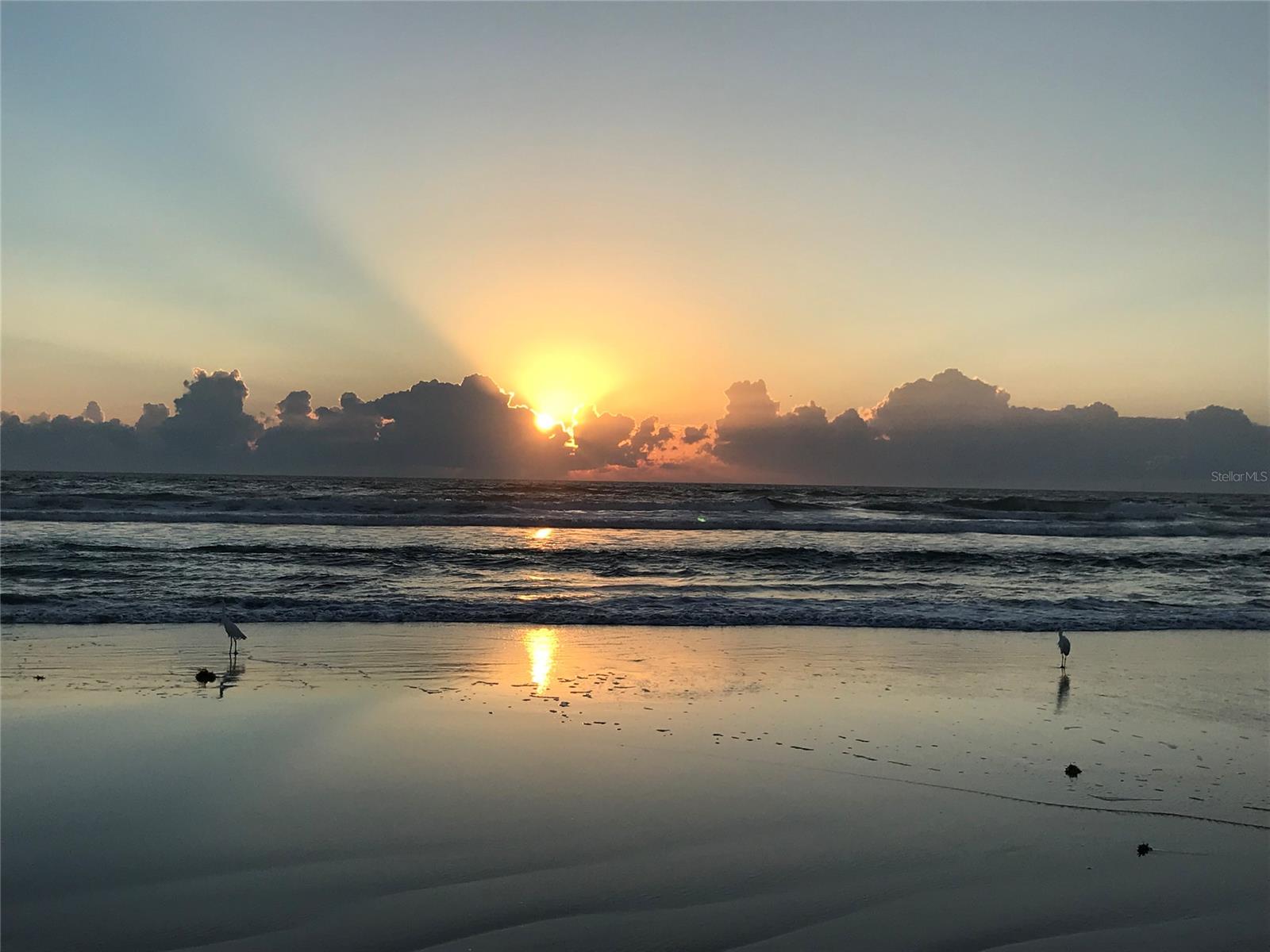 Ocean Inlet Yacht Club Un 103 - Residential