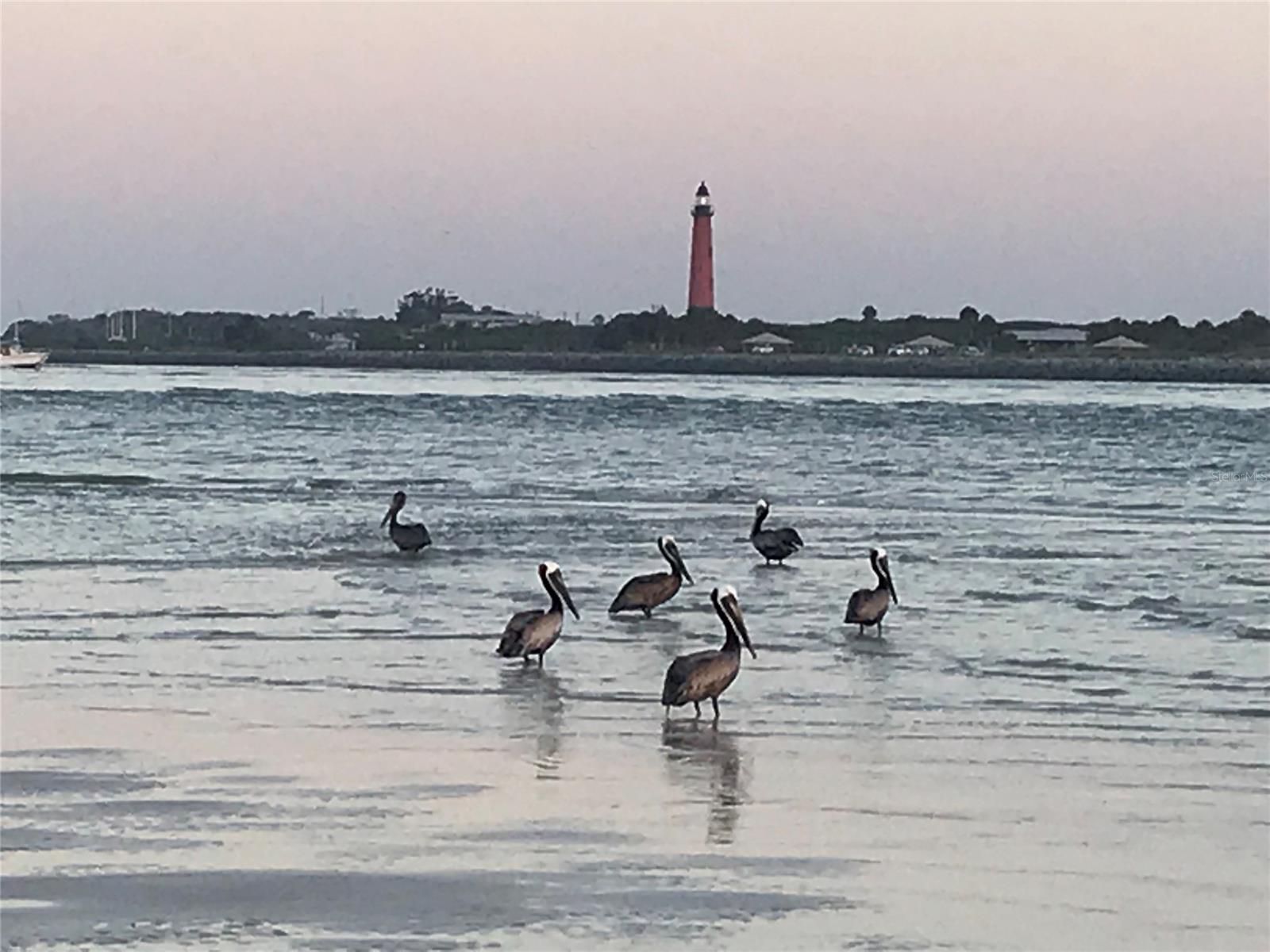 Ocean Inlet Yacht Club Un 103 - Residential