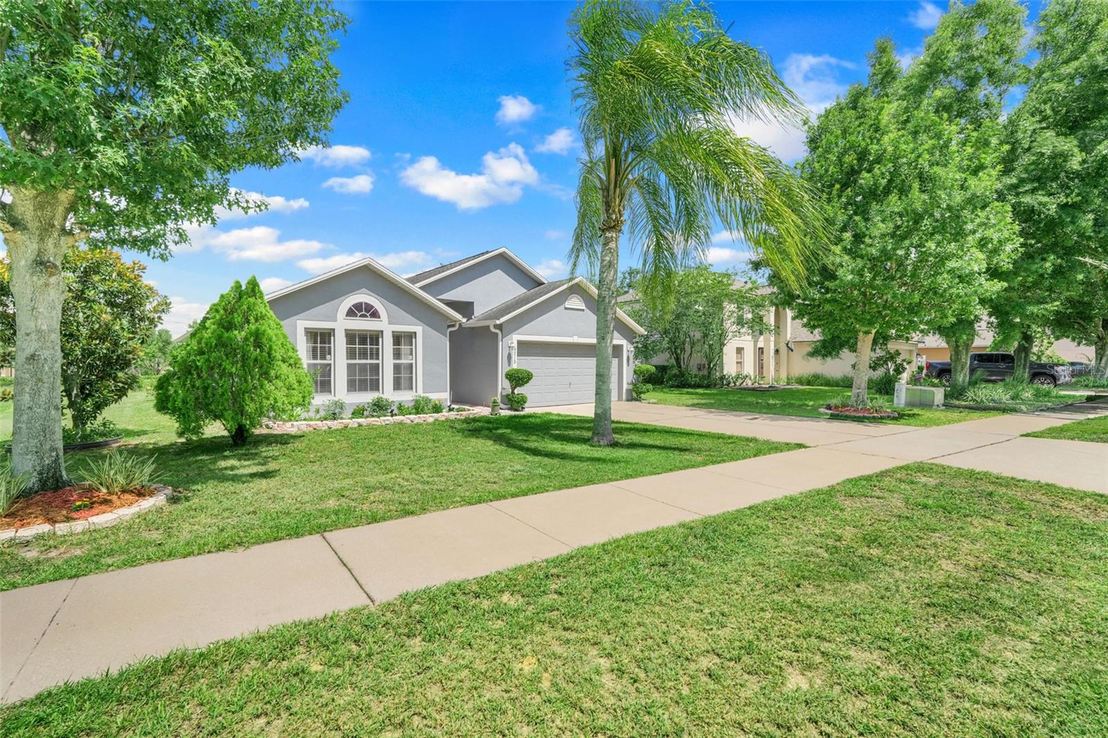 3213 WHITE BLOSSOM LANE