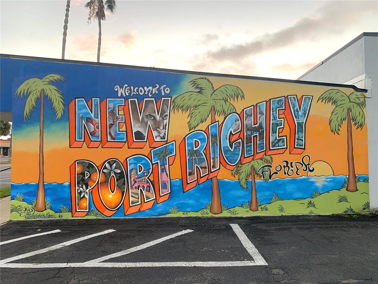 NEW PORT RICHEY - Residential