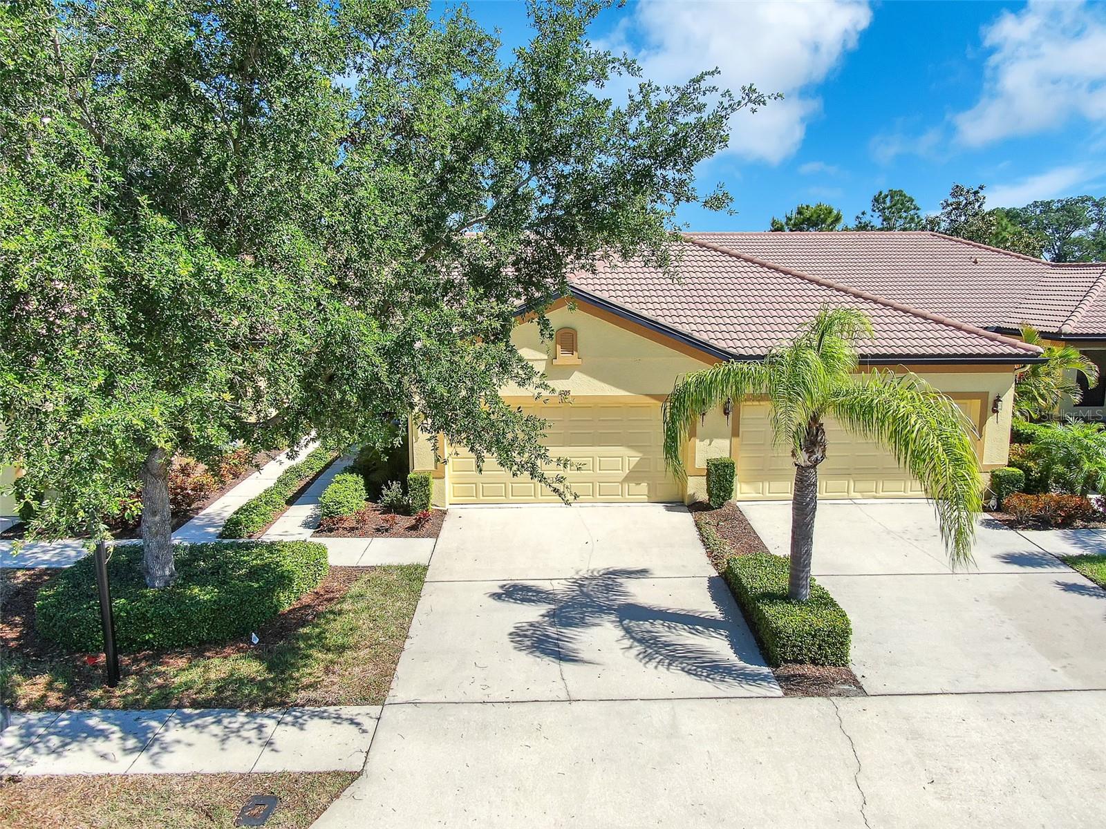 305 BLUEWATER FALLS COURT