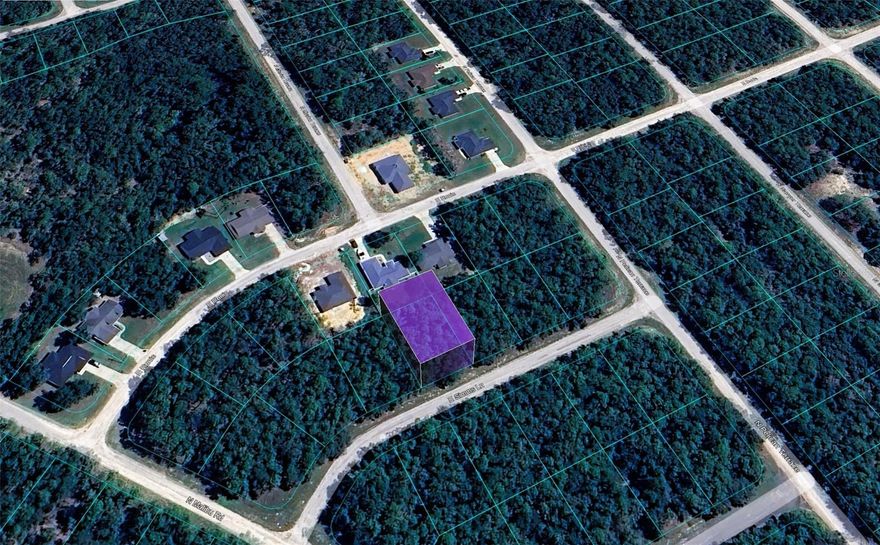 Vacant Corner lot located at 165 E Simms Ln, Citrus Springs, FL 34434, offering approximately 0.23 acres (10,043 sq ft) in an established and growing residential area. Located in Flood Zone X, this property presents an ideal opportunity for investors or builders seeking a reliable investment in Citrus Springs.