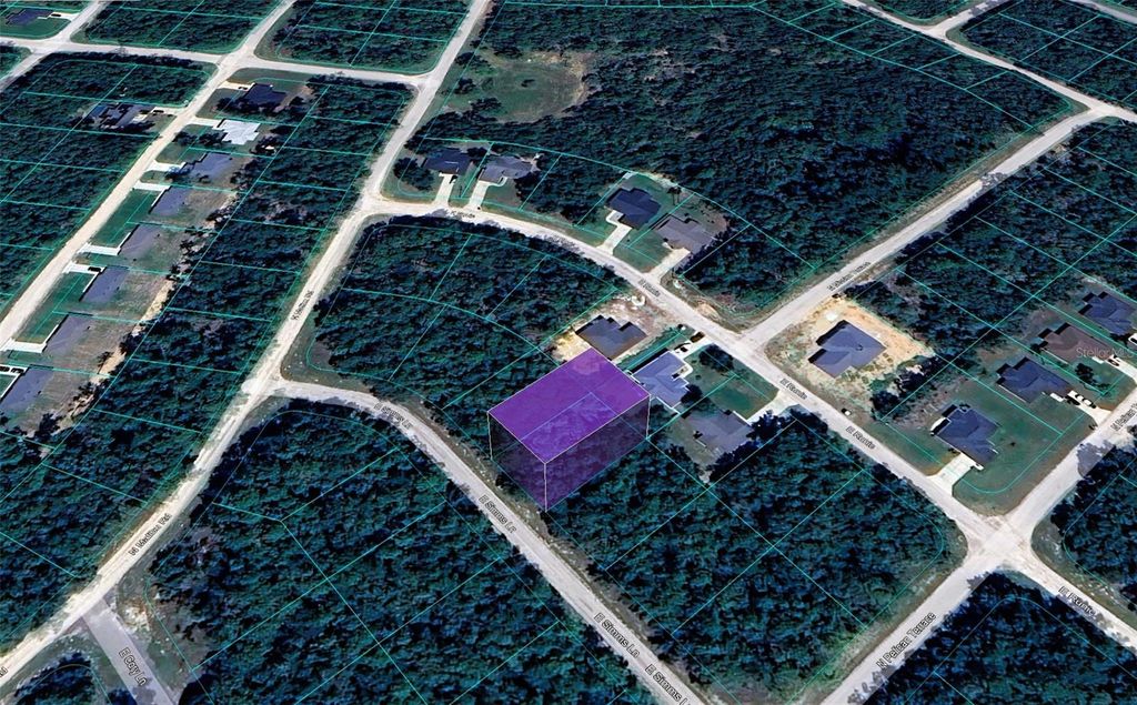 Photo of 165 E Simms Lane, Citrus Springs, FL 34434 (MLS # TB8463126)