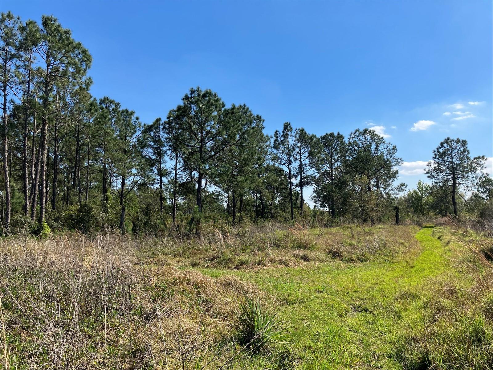 MAPS 5F AND 5G - Residential