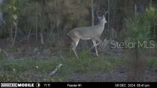 MAPS 5F AND 5G - Residential