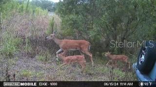 MAPS 5F AND 5G - Residential