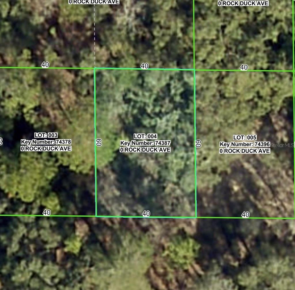 Photo of Rock Duck Avenue, Brooksville, FL 34614 (MLS # W7879499)