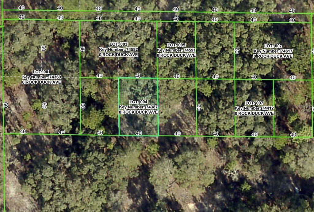 Photo of Rock Duck Avenue, Brooksville, FL 34614 (MLS # W7879499)