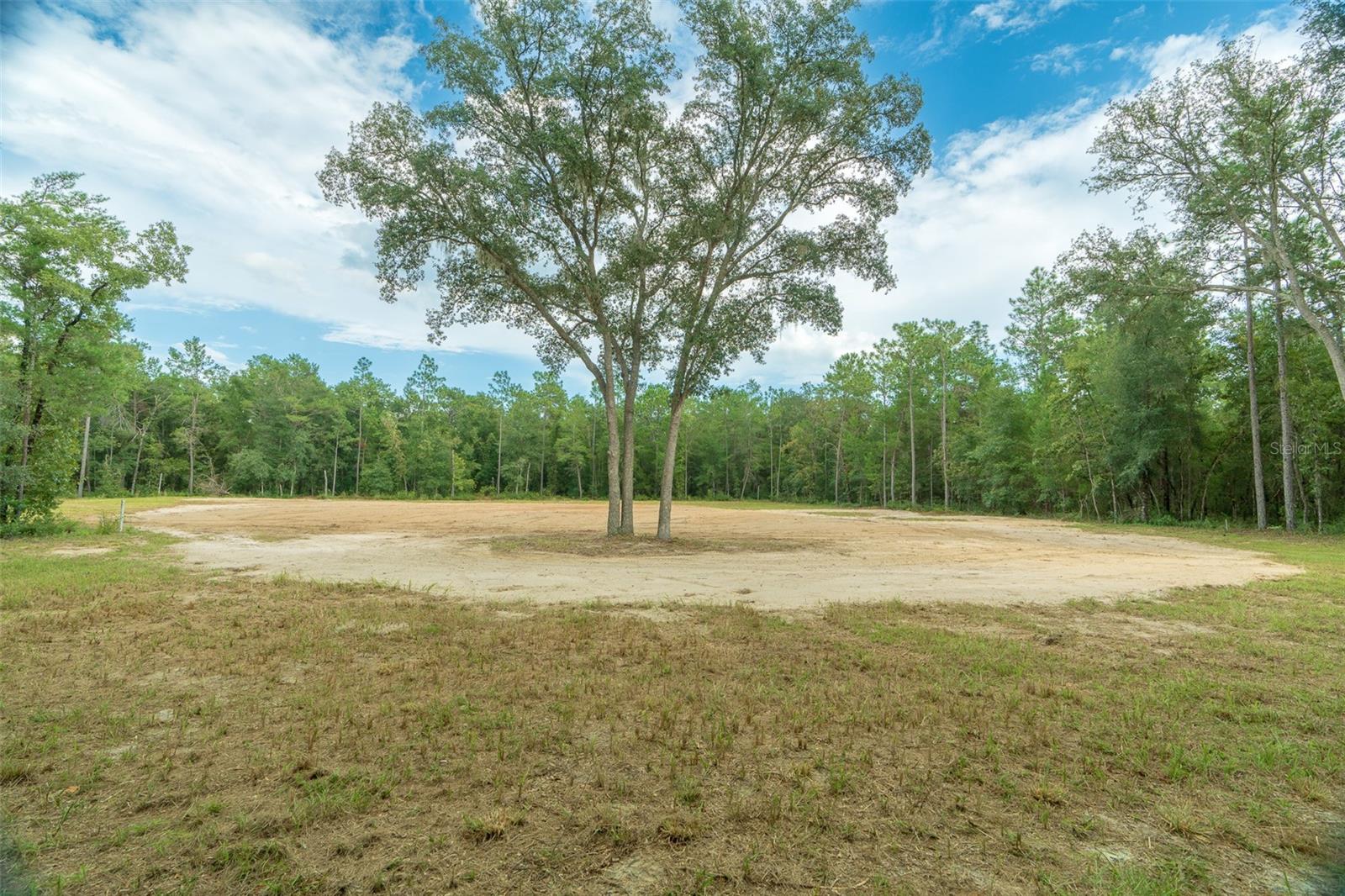 SILVER HAMMOCK PRESERVE - Land