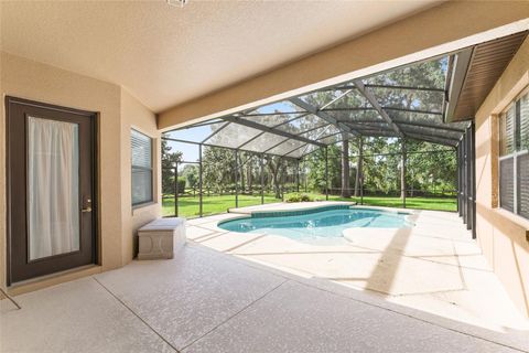 Tiny photo for 21312 Marsh View Court, Clermont, FL 34715 (MLS # G5099002)