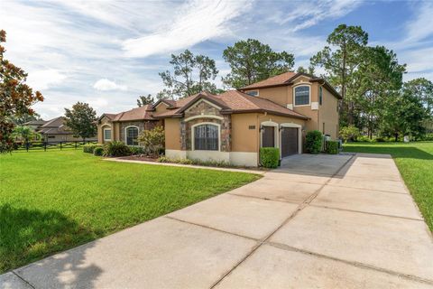 Tiny photo for 21312 Marsh View Court, Clermont, FL 34715 (MLS # G5099002)