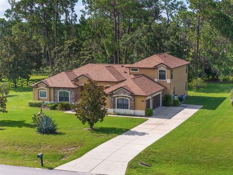Tiny photo for 21312 Marsh View Court, Clermont, FL 34715 (MLS # G5099002)