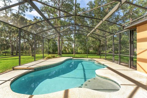 Tiny photo for 21312 Marsh View Court, Clermont, FL 34715 (MLS # G5099002)