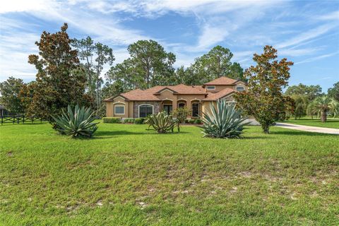 Tiny photo for 21312 Marsh View Court, Clermont, FL 34715 (MLS # G5099002)