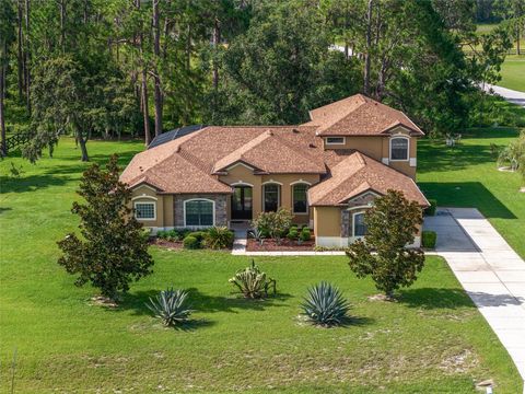 Tiny photo for 21312 Marsh View Court, Clermont, FL 34715 (MLS # G5099002)