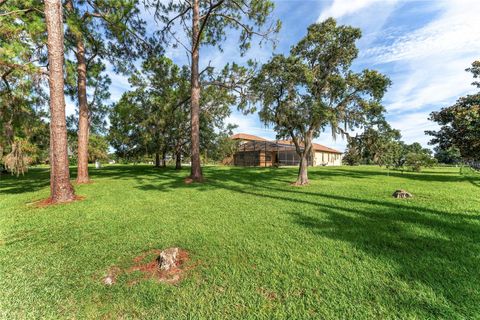 Tiny photo for 21312 Marsh View Court, Clermont, FL 34715 (MLS # G5099002)