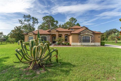 Tiny photo for 21312 Marsh View Court, Clermont, FL 34715 (MLS # G5099002)