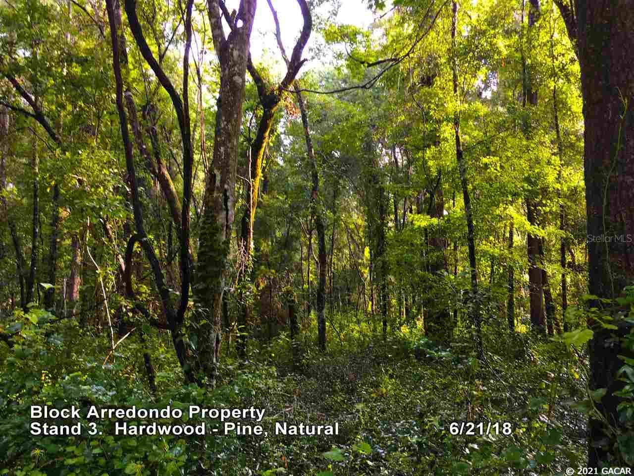 Not In Subdivision - Land