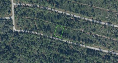 Photo of 8650 Sanada Street, Sebring, FL 33872 (MLS # S5148280)