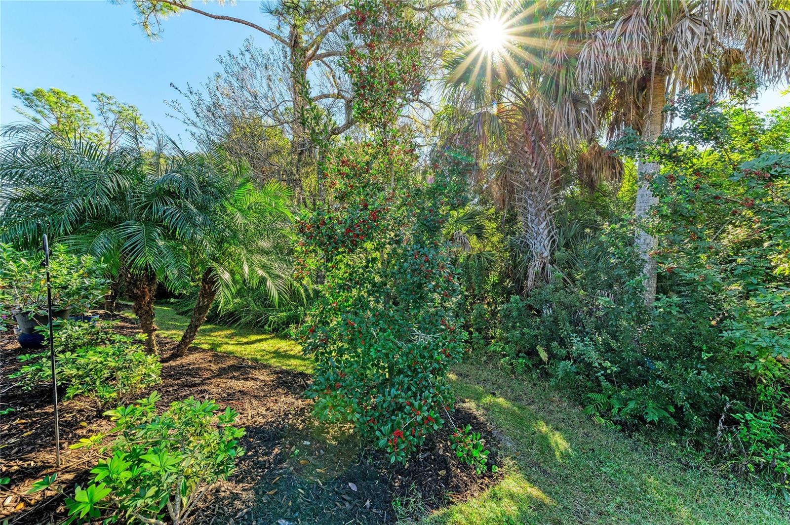 TOSCANA ISLES - Residential