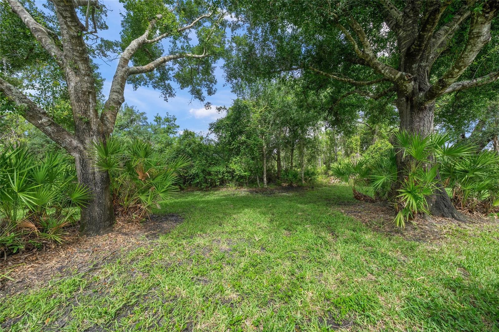 MISTY CREEK - Residential