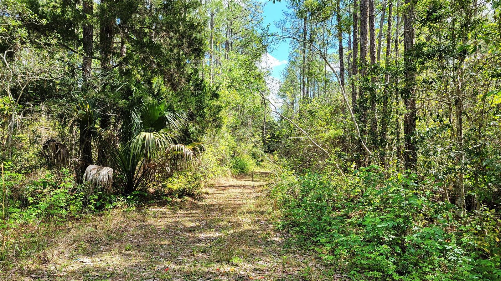 UNIVERSITY HIGHLANDS - Land