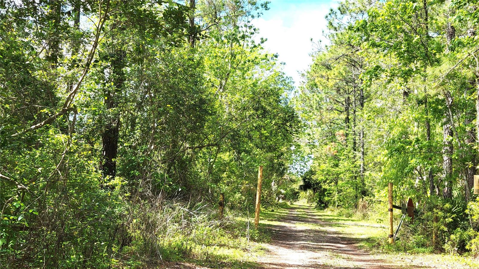 UNIVERSITY HIGHLANDS - Land